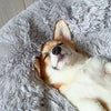 Ontspannend Hondenbed