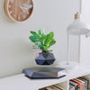 Trendy Zwevende Bonsai Pot met Magnetische Levitation - Stijlvol Zwart Houten Ontwerp voor Woondecoratie en Unieke Cadeaus