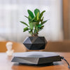 Trendy Zwevende Bonsai Pot met Magnetische Levitation - Stijlvol Zwart Houten Ontwerp voor Woondecoratie en Unieke Cadeaus
