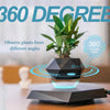 Trendy Zwevende Bonsai Pot met Magnetische Levitation - Stijlvol Zwart Houten Ontwerp voor Woondecoratie en Unieke Cadeaus