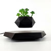 Trendy Zwevende Bonsai Pot met Magnetische Levitation - Stijlvol Zwart Houten Ontwerp voor Woondecoratie en Unieke Cadeaus