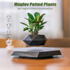Trendy Zwevende Bonsai Pot met Magnetische Levitation - Stijlvol Zwart Houten Ontwerp voor Woondecoratie en Unieke Cadeaus