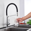 PureFlow Duo Keukenkranen met Dubbele Uitgang en Waterfiltratie