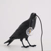 Raven-geïnspireerde hars tafellamp