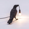 Raven-geïnspireerde hars tafellamp