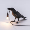 Raven-geïnspireerde hars tafellamp
