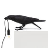 Raven-geïnspireerde hars tafellamp