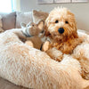 Ontspannend Hondenbed